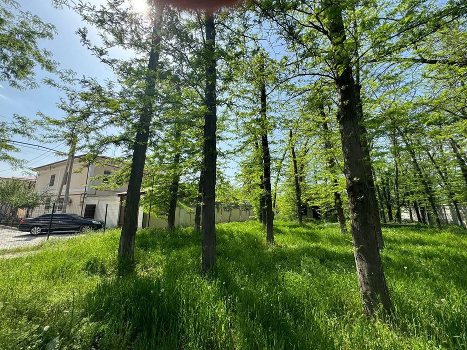 Uchqaxramon Dendrapark postdan 1 km