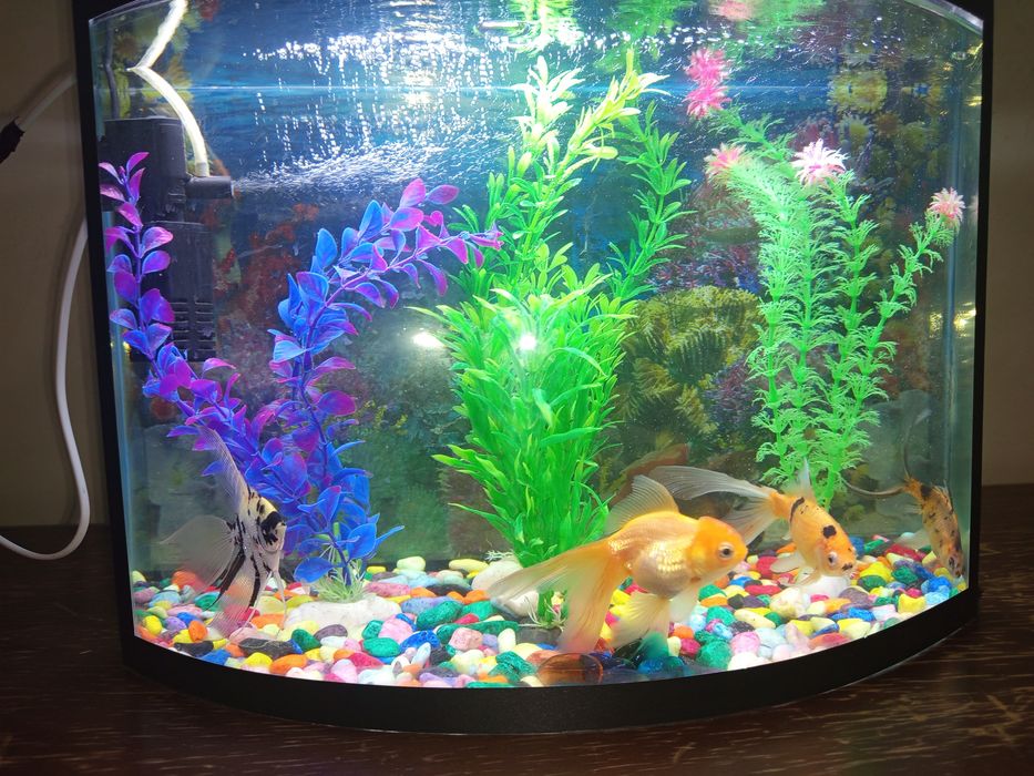 Аквариум 40 литр