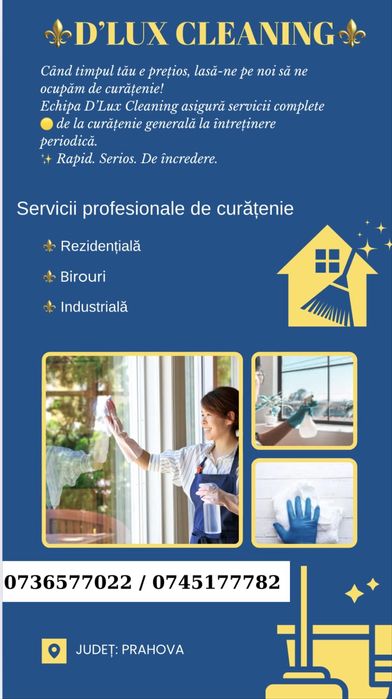 Curățenie profesională la domiciliu si birouri