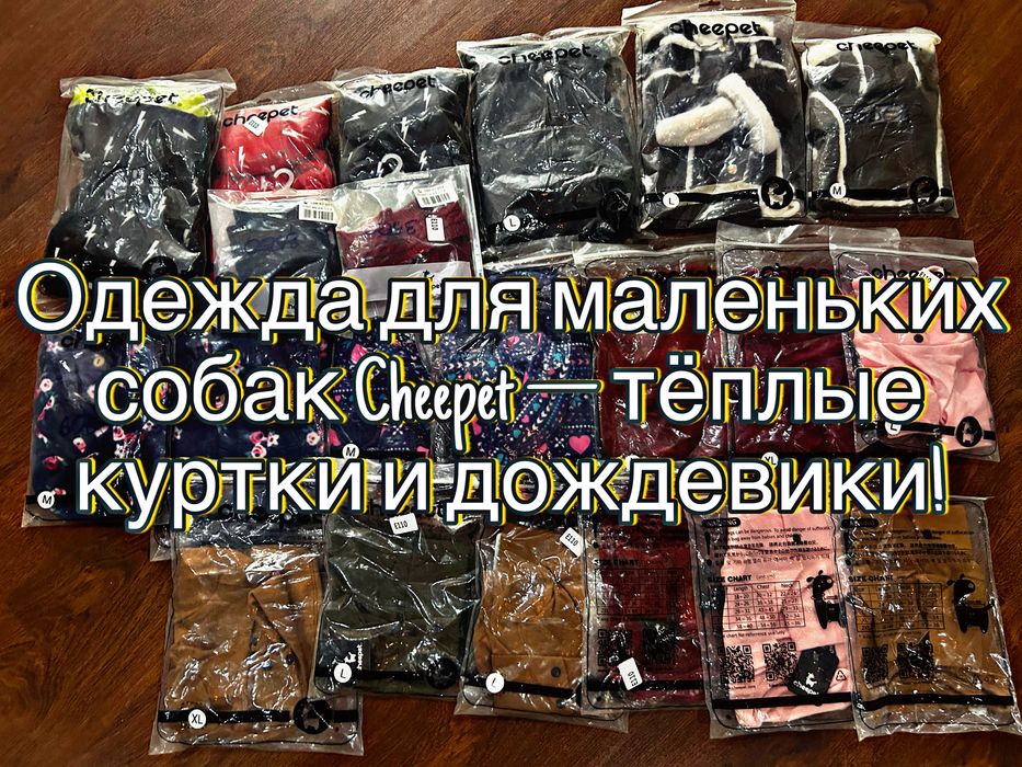 Тёплые куртки и дождевики Cheepet для собак с доставкой по Алматы