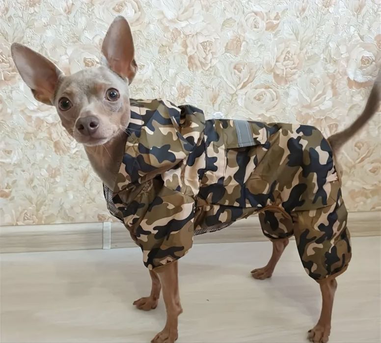 Дъждобран за куче