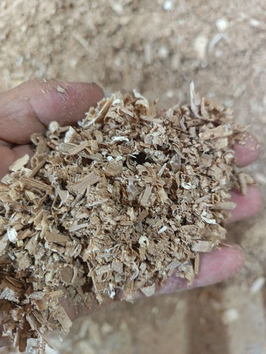 опилки сухой 500 тенге