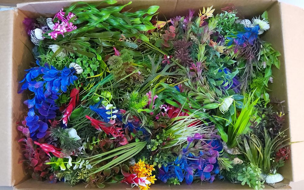 Plante pentru acvariu (200buc)