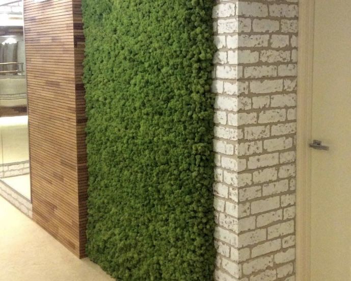 Вертикальное озеленение, декор, из мха (зелёная стена)