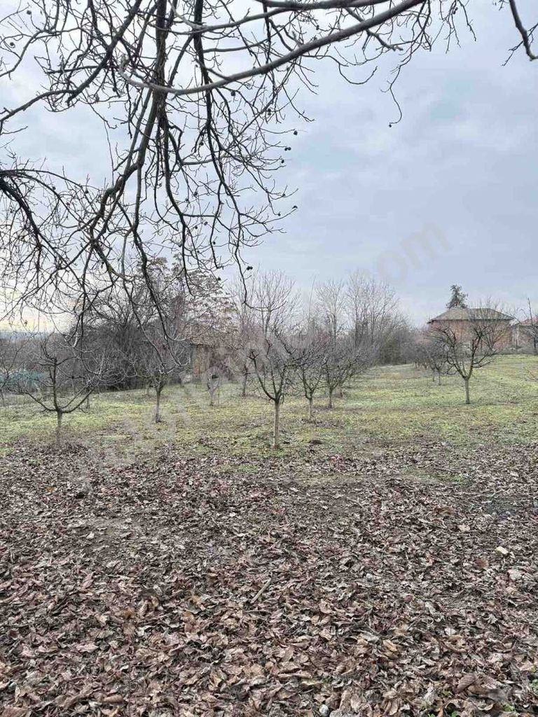 Продава се Къща в с. Страхилово, Област Велико Търново - 228 кв.м за 154 €/кв.м - Снимка #7