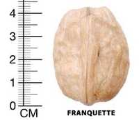 Nuc franquette soi productiv