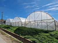 Afacere la cheie - solarii legume - pentru accesare TOMATA 2024