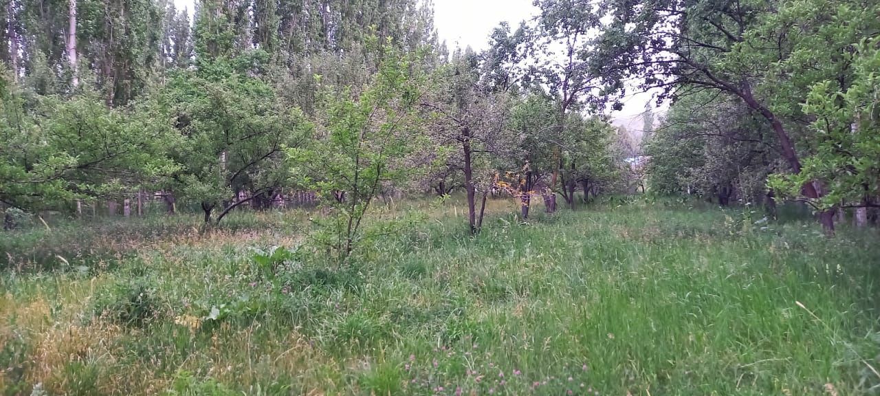 Жер телімі табиғаты жақсы