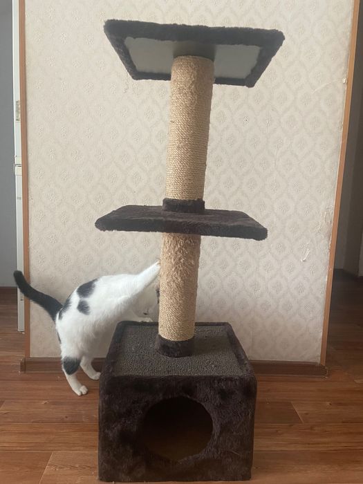 Продам домик для кошек