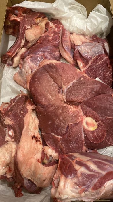 Мясо мякоть транш вырезка антрекот начинается от 3500