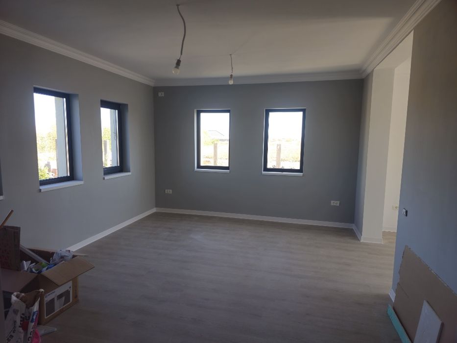 Vand casa individuala / Mosnita Noua / Proprietar