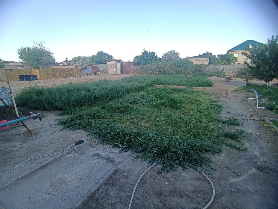 Свежый жонышка бар