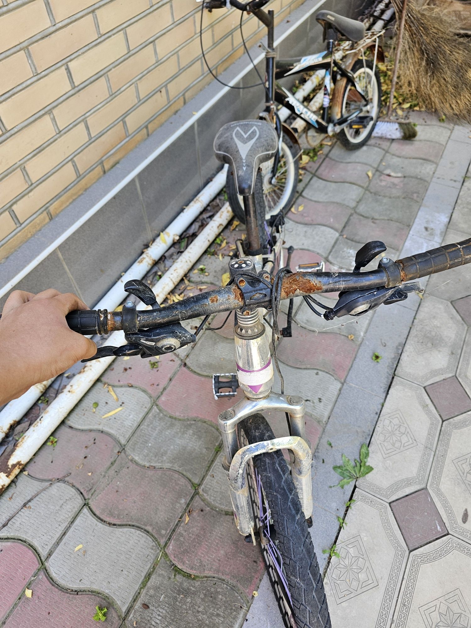 Velosafet eng arzon narx da