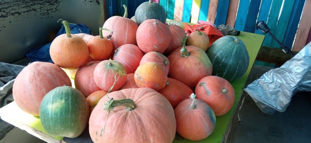 Продам тыкву! В наличий 75кг.