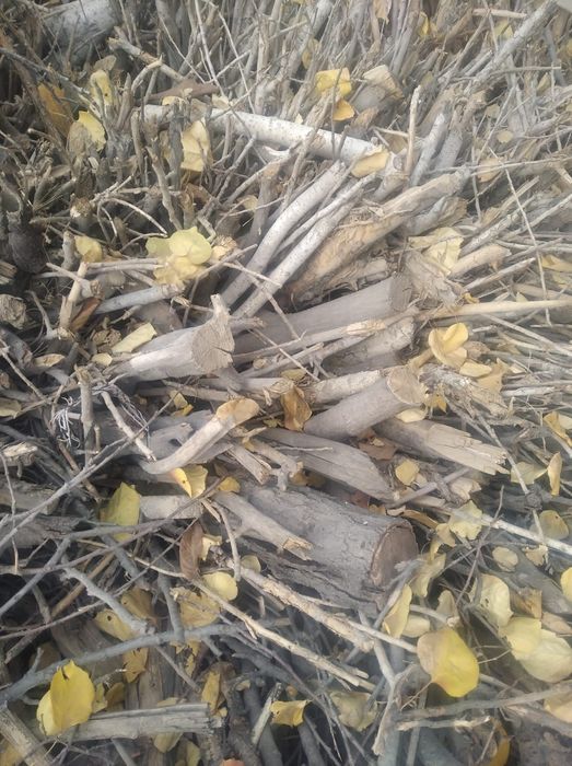 Дрова один газель