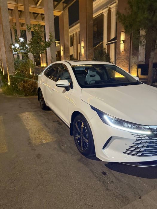 Chazor 120 km 4 pazitsa