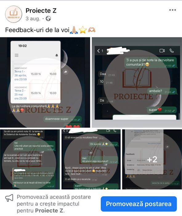 Referate/eseuri/proiecte/prezentări școlare