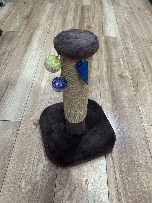 Когтеточка для кошки