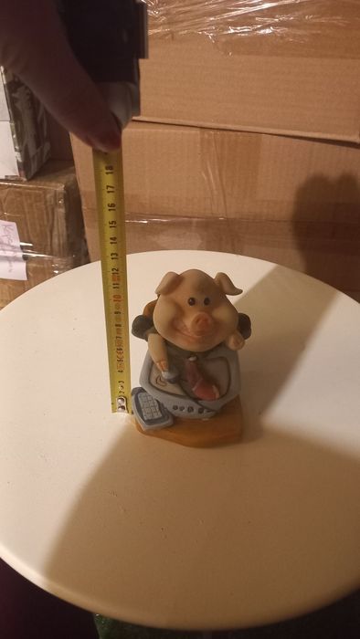 Прасе касичка от Холандия