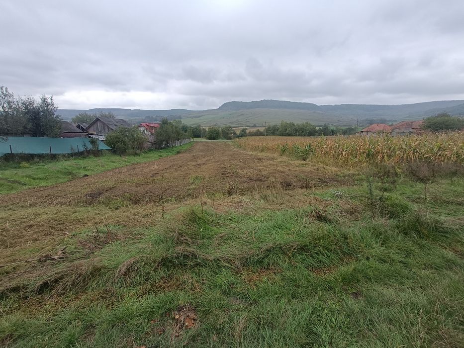 Teren de vanzare intravilan la doar 40 km de Cluj , Comuna Cornesti