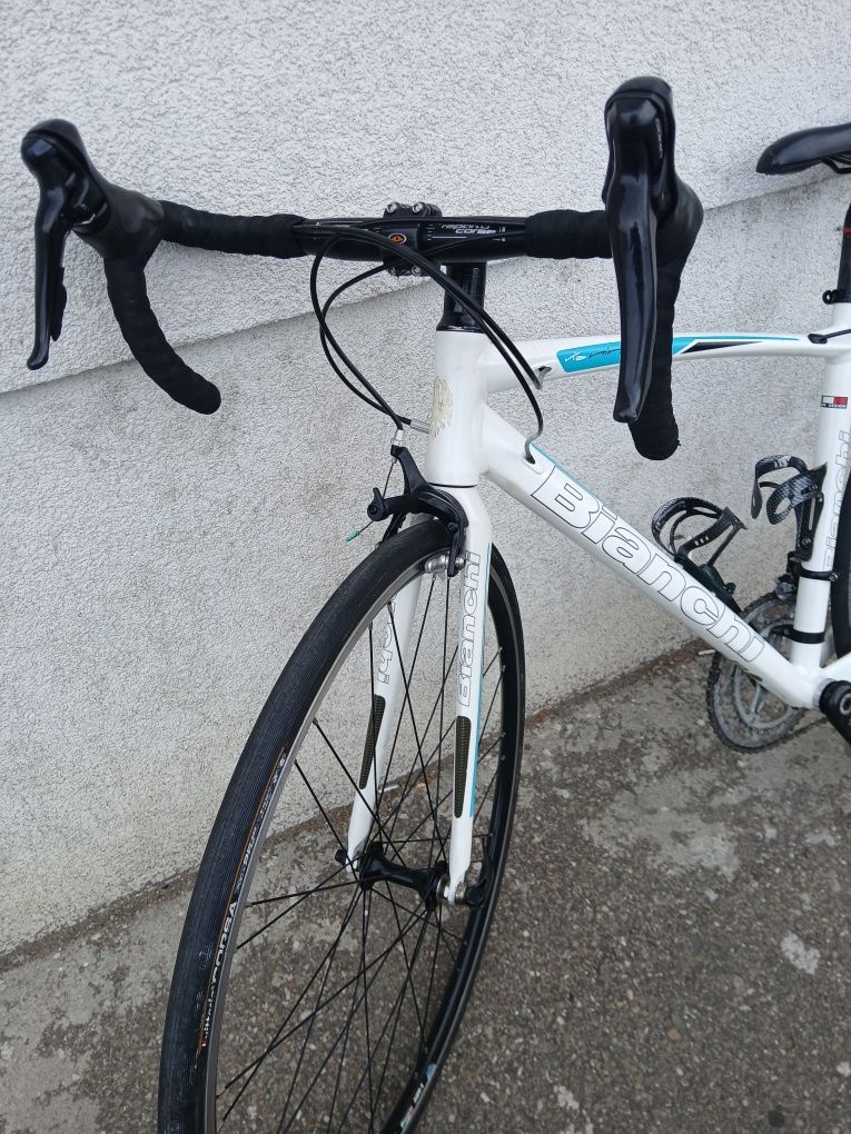 Cursiera Bianchi