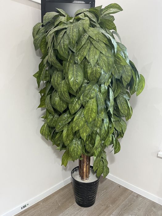 Продам декоративное дерево в хорошем состоянии.