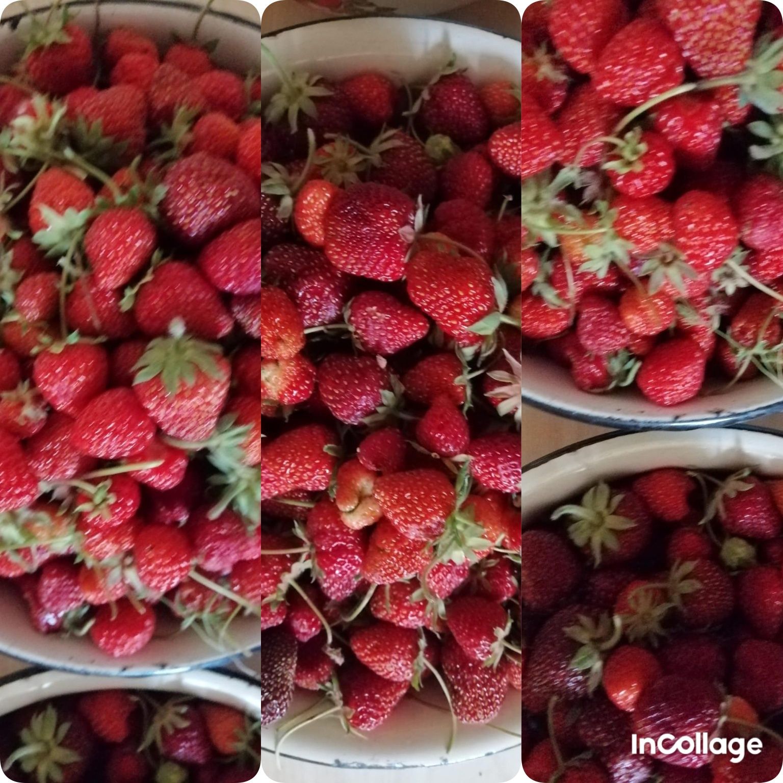 Дачная местная клубника