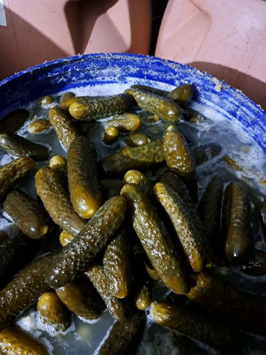 Vand castraveți murati in saramura