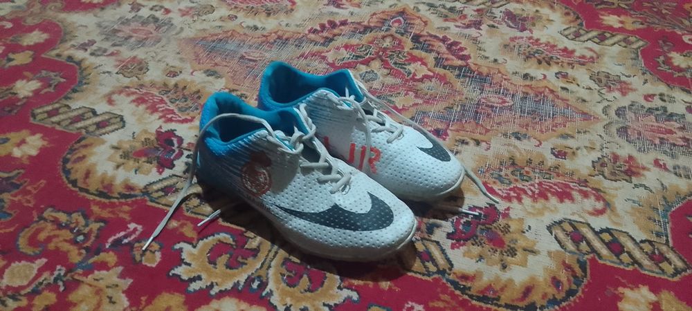 Сороконошки новые