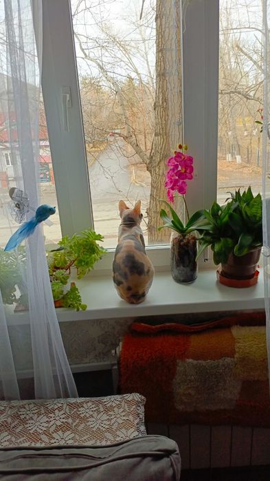 Отдам в хорошие руки