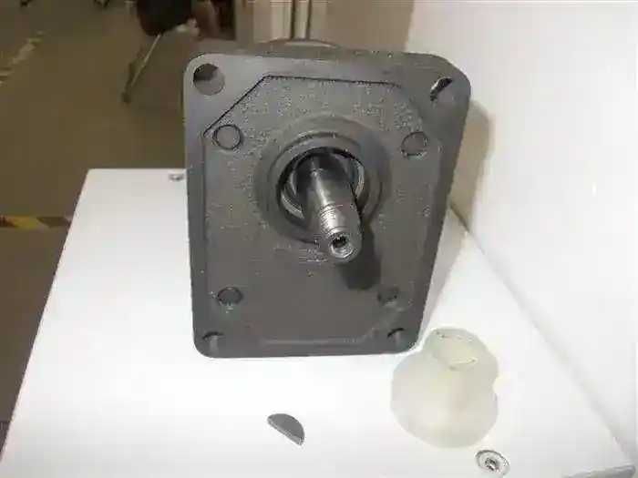 Pompa hidraulica 20 litri /minut grupul 2 dreapta ax conic 250 bar