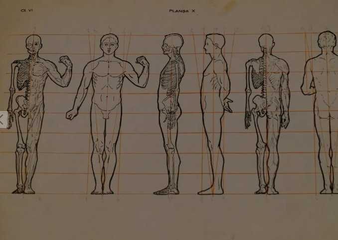 Curs practic desen 1935 intocmit de Profesor VIRGIL CONDOIU