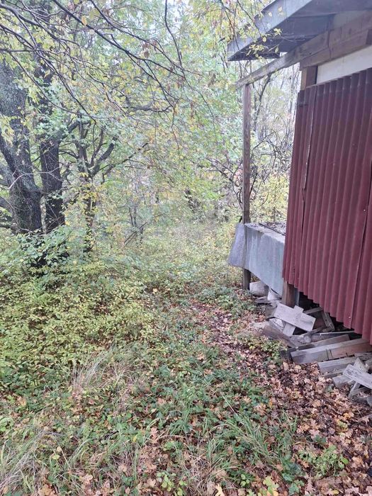 Парцел с постройка в село Кошарица