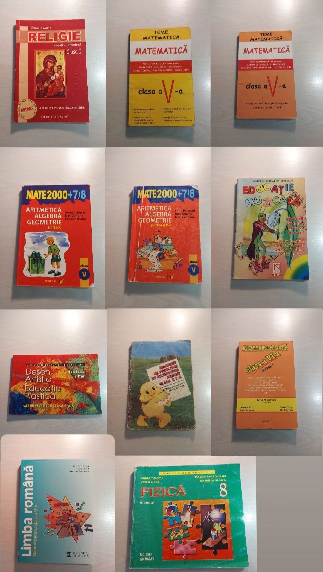 Manuale / Culegeri liceu, BAC și generală (clasele 1-12)