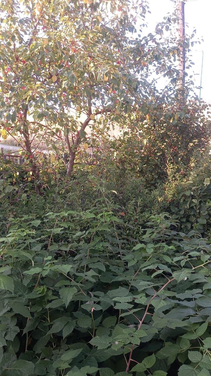Продам кирпичный дом