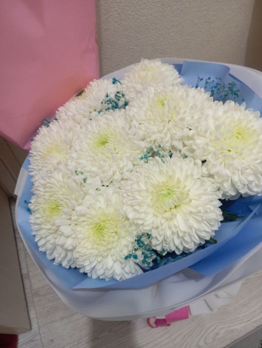 Цветы дешёвые цветы со скидкой