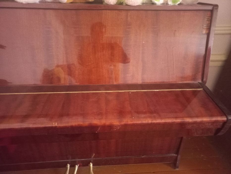 Pianina Belarusiya