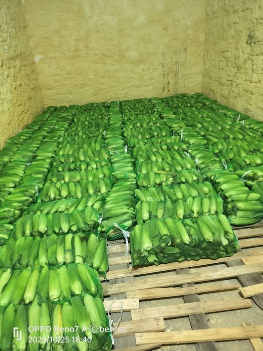 Shirin joʻxori . Marka 832. Сладкая кукуруза