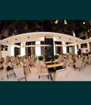 Scaune horeca tapitate