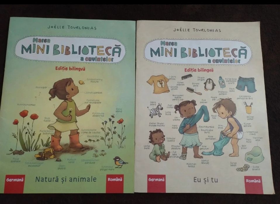 Marea mini bibliotecă a cuvintelor