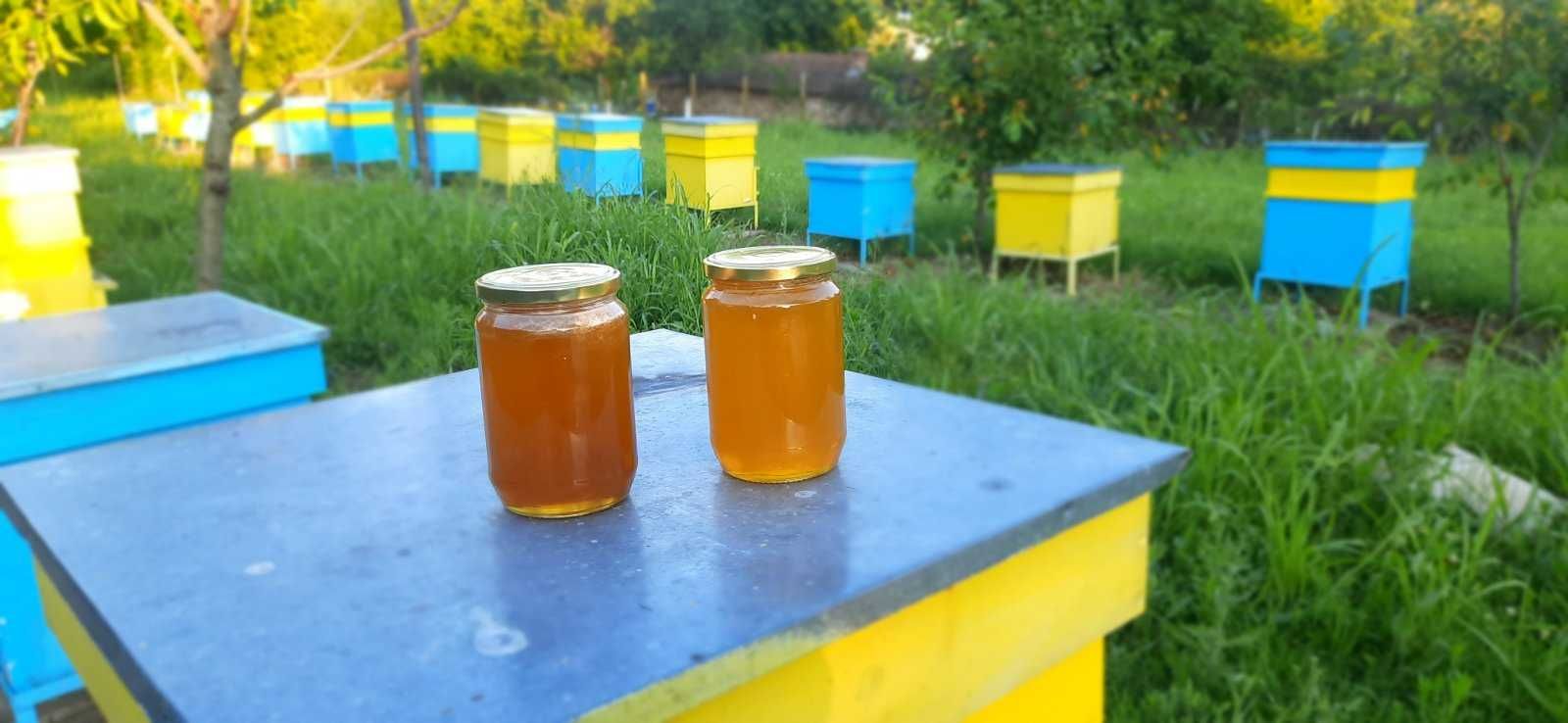 100% Натурален пчелен мед