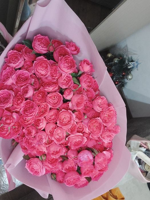 Светошки продается