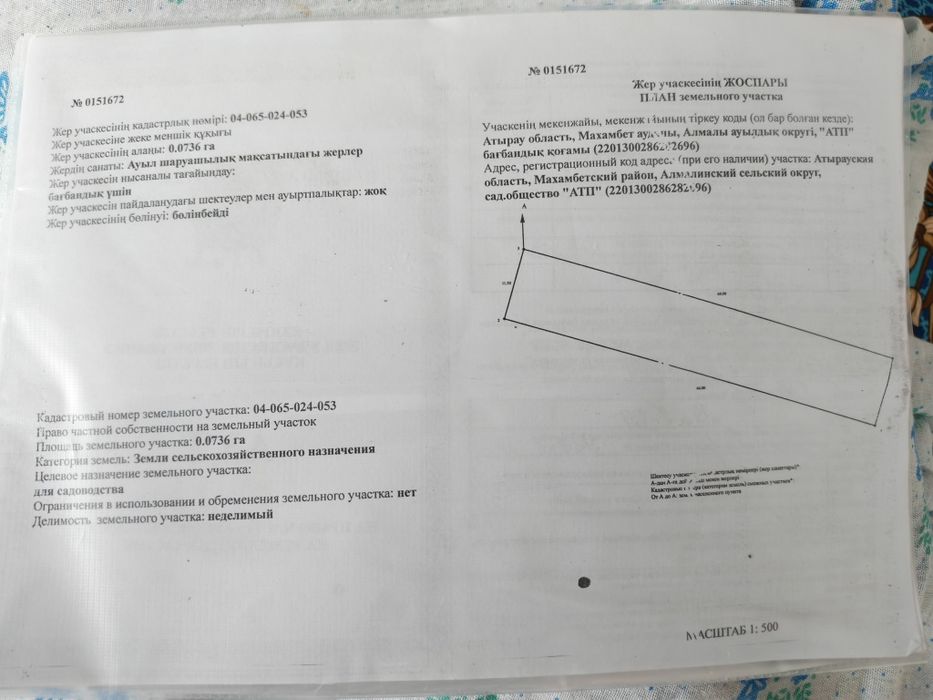 Земля дачный. Алмалы.