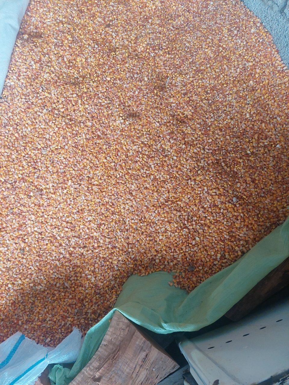 Макка жухори сотилади, продаётся кукуруза высший сорт
