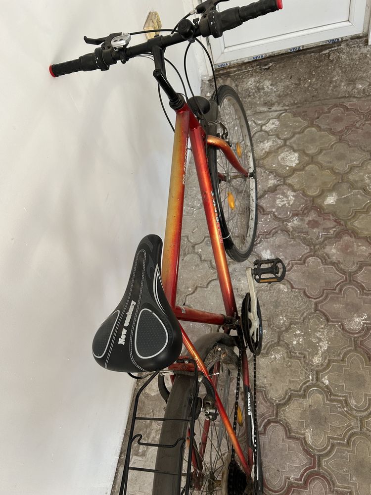 Bicicleta de oras