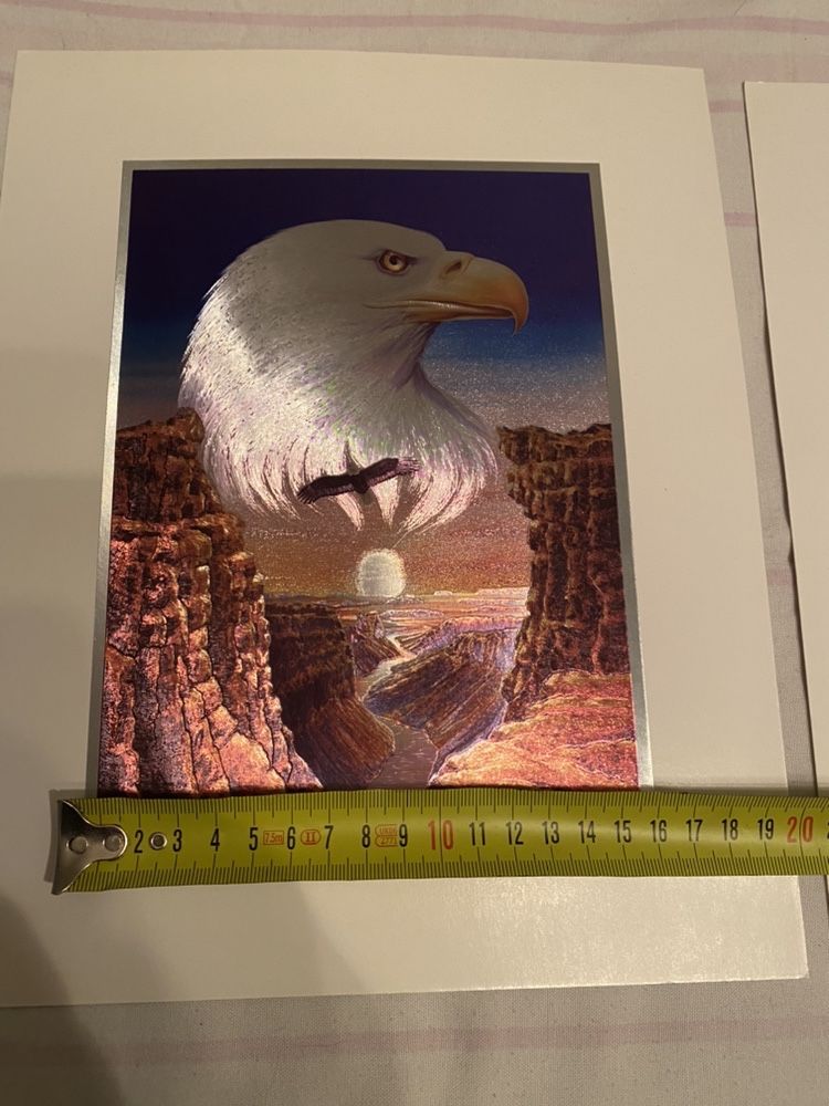 Tablouri superbe culori 3D Vulcan Teide Vultur