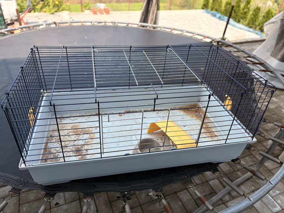 Accesorii animsle de casa