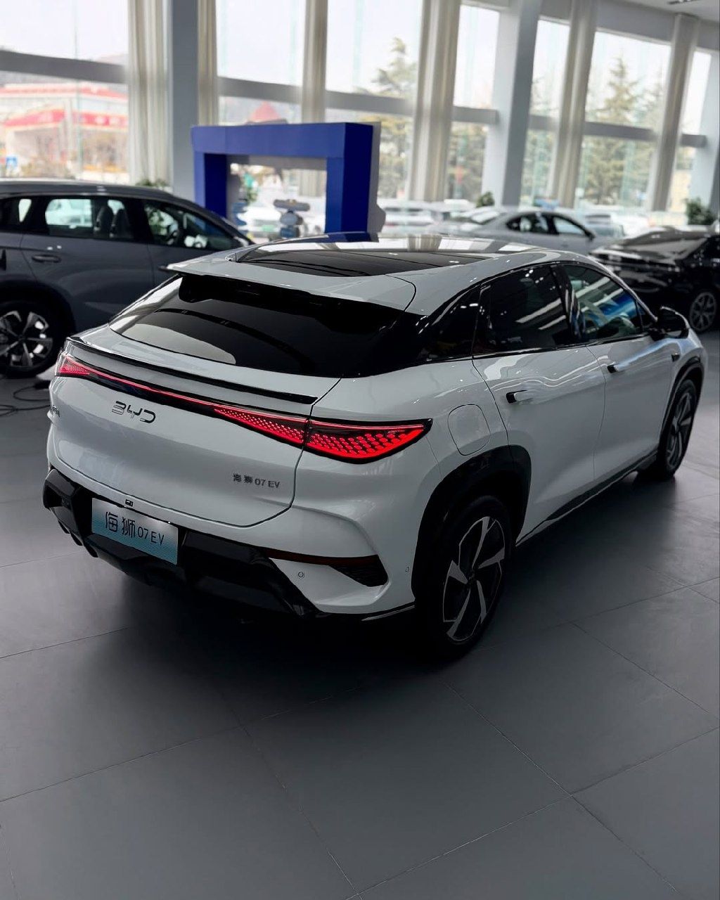 BYD sea lion 610