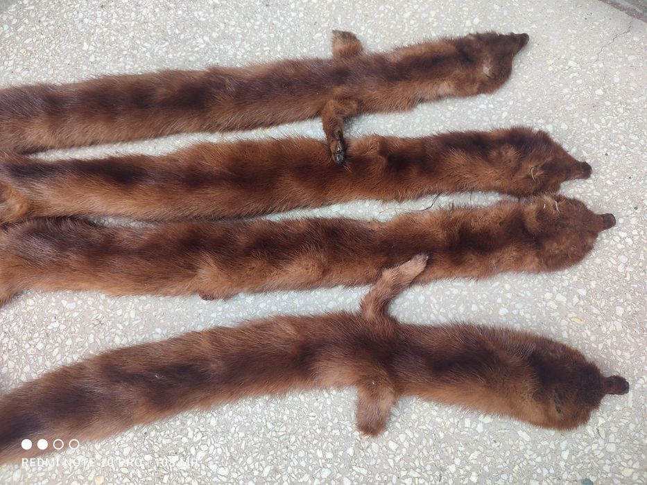 Яка от Норка 4 бр