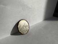 Moneda 1 leu din 1966